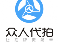 沪牌代拍公司排行榜