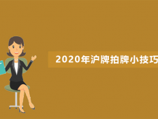 2020年沪牌拍牌小技巧分享